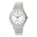 Horloge Heren Q&Q C02A-005PY