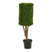 Dekorativ Plante Hedge Plast