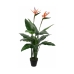 Decoratieve plant Mica Decorations Paradijsvogel 60 x 110 cm Polyurethaan