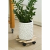 Flowerpot Standt with Wheels Nature Natural Fir wood