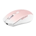 Mouse TNB GRADIENT Roz