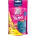 Collation pour Chat Vitakraft Yums Salmon