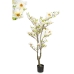 Dekorativa blommor Romimex Vit Magnolia 70 x 150 x 60 cm