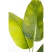 Dekoratīvs Augs Romimex Strelitzia Plastmasa 70 x 140 x 70 cm