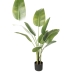 Decoratieve plant Romimex Strelitzia Plastic 75 x 110 x 75 cm