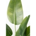 Dekorativ Plante Romimex Strelitzia Plast 75 x 110 x 75 cm