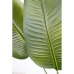 Dekorativ växt Romimex Strelitzia Plast 110 x 210 x 70 cm