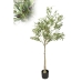 Albero Decorativo Romimex Plastica Ulivo 80 x 160 x 80 cm