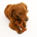 Dog toy Nylabone 20 Brown animals