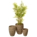 Set de jardiniere Romimex Natural Fibră naturală 40 x 49 x 40 cm 3 Piese