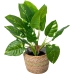 Plantador Alexandra House Living Castanho Rotim Fibra natural