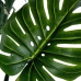 Dekoratiivne Taim Alexandra House Living Plastmass Monstera 170 cm