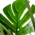 Dekorativ Plante Alexandra House Living Plast Monstera 170 cm