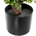 Dekorativ Plante Alexandra House Living Plast Meloner 110 cm