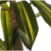 Decoratieve plant Alexandra House Living Brazil Plastic Dracaena 130 cm