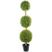 Dekorativ Plante Alexandra House Living Plast 165 cm