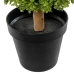 Dekorativ Plante Alexandra House Living Plast 165 cm