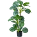 Dekorativní rostlina Alexandra House Living Plastické Calathea 90 cm