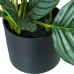 Decoratieve plant Alexandra House Living Plastic Calathea 90 cm