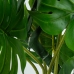 Dekoratyvinis augalas Alexandra House Living Plastmasinis Monstera 150 cm