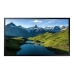 TV intelligente Samsung OH55A-S Full HD 55