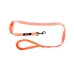 Dog Lead Gloria Orange S