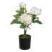 Pianta Decorativa 24 x 20 x 38 cm Crema Peonia