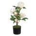 Plantă decorativă 34 x 30 x 59 cm Crem Bujor