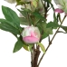 Pianta Decorativa 34 x 30 x 59 cm Crema Peonia