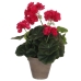 Decoratieve plant Mica Decorations 11,5 x 33 cm Roze PVC