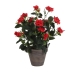 Decoratieve plant Mica Decorations Rosal Keramisch PVC