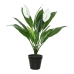 Decoratieve plant Mica Decorations Espatifilo PVC