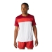 Heren-T-Shirt met Korte Mouwen Asics Race Wit Rood