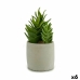 Planta Decorativa Ibergarden YCX17941 Plástico Suculenta 12 x 24 x 12 cm (6 Unidades)