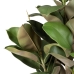 Decoratieve plant 134 cm Groen PVC Ek