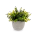 Planta Decorativa Ibergarden QY-H022 Plástico Bloemen 21 x 20,6 x 21 cm (8 Unidades)