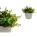 Decoratieve plant Blommor Plastic 21 x 20,6 x 21 cm (8 Stuks)