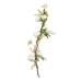 Dekorativa blommor 100 x 27 x 20 cm Vit Pion