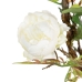 Decorative Flowers 100 x 27 x 20 cm White Peony