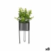 Dekorativ plante Ibergarden QY-H096 Metal Plastik Eukalyptus 14 x 40 x 14 cm (8 enheder)