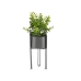 Dekorativ plante Ibergarden QY-H096 Metal Plastik Eukalyptus 14 x 40 x 14 cm (8 enheder)