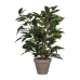 Plante décorative Mica Decorations 40 x 30 cm Céramique Vert PVC Ficus