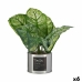 Decoratieve plant Metaal Plastic 26 x 26 x 26 cm (6 Stuks)