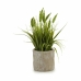 Planta Decorativa Ibergarden XD171059 Plástico Espiga 12 x 30 x 12 cm (8 Unidades)