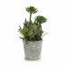 Decoratieve plant Bloemenveld Kurk Plastic 10 x 25 x 10 cm (12 Stuks)