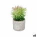 Decorative Plant Ibergarden QY-H011 Wood Plastic Cement Succulent 12 x 22 x 12 cm (8 Units)