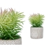 Decorative Plant Ibergarden QY-H011 Wood Plastic Cement Succulent 12 x 22 x 12 cm (8 Units)