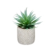 Decoratieve plant Vetplant Hout Plastic 17 x 21 x 17 cm (8 Stuks)