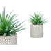 Pianta Decorativa Succulenta Legno Plastica 17 x 21 x 17 cm (8 Unità)