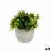 Plantă decorativă Květiny Plastic 20 x 20,5 x 20 cm (8 Unități)